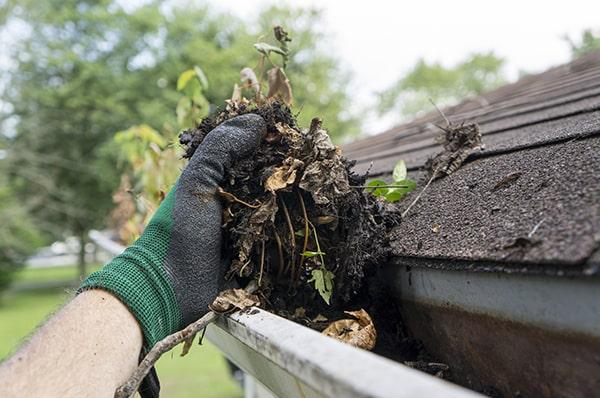 gutter cleaning is included in our seasonal home maintenance plans at no additional cost